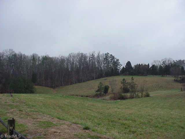 6057 Gallimore Town Road Trinity, NC 27370 - Photo 3 of 3 Other. Pasture with small spring fed pond