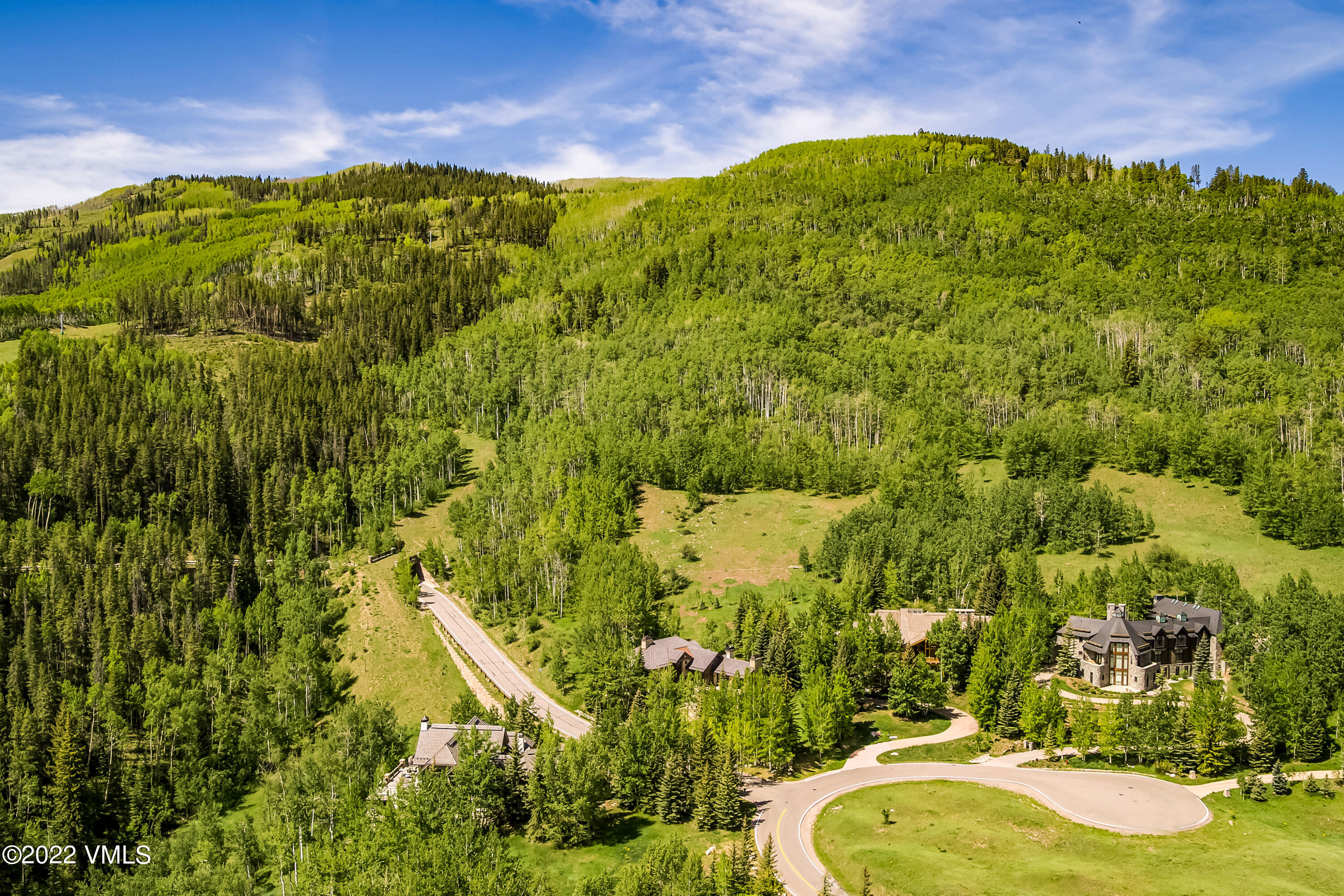 447 Borders Road Beaver Creek, CO 81620 - Photo 62 of 71 a view of a swimming pool with a yard