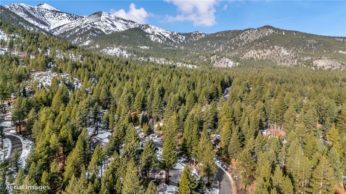 307 East Jeffrey Pine Road Reno, NV 89511 - Photo 11 of 19 Gallery Image 11