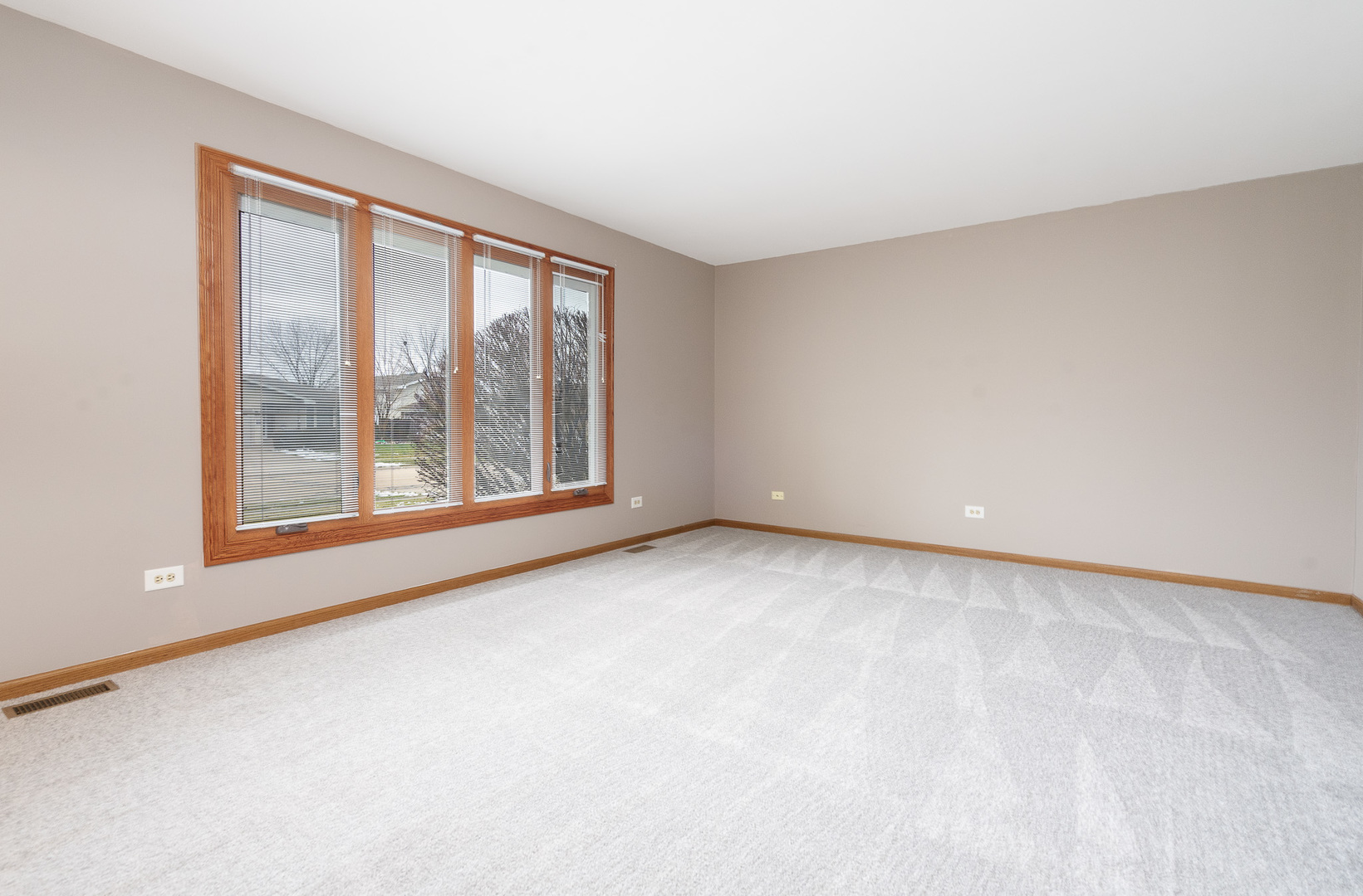 633 Poplar Avenue Romeoville, IL 60446 - Photo 14 of 33 Gallery Image 14