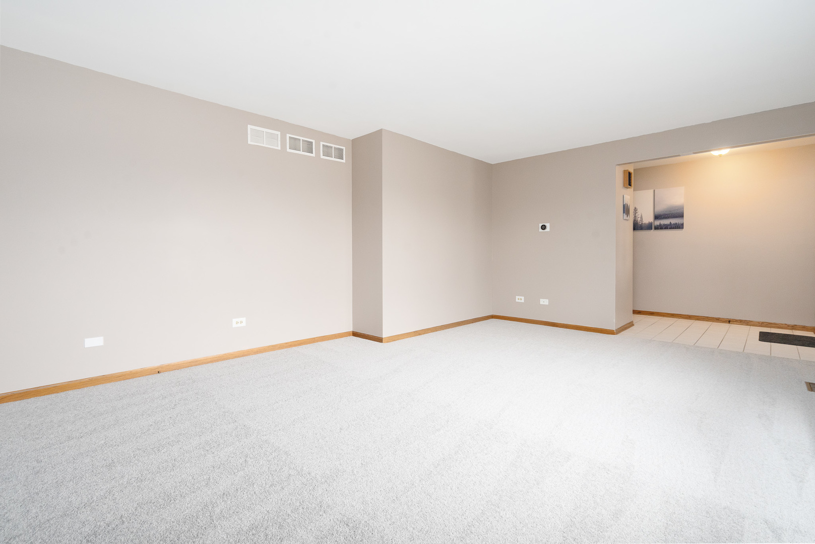 633 Poplar Avenue Romeoville, IL 60446 - Photo 16 of 33 Gallery Image 16
