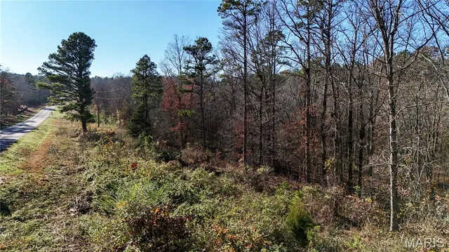 $38,900 | 0 State Hwy O, Doniphan, MO 63935