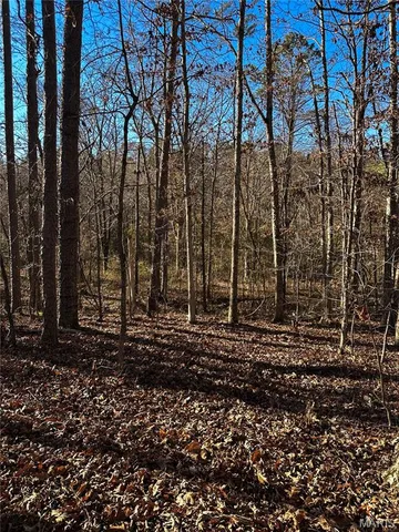 $38,900 | 0 State Hwy O, Doniphan, MO 63935