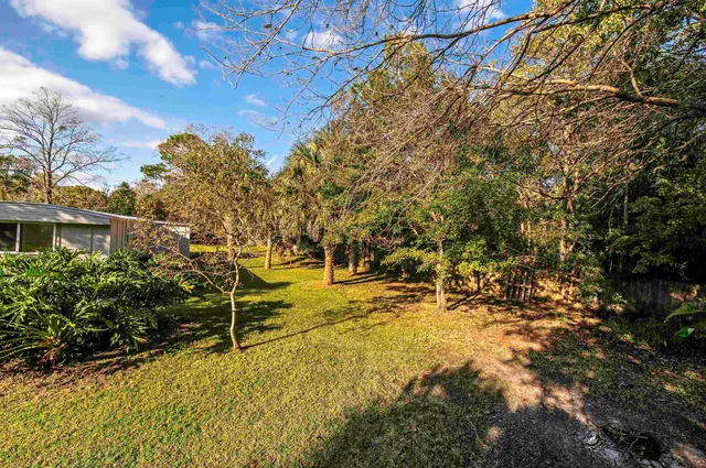 a view of yard with large tree
