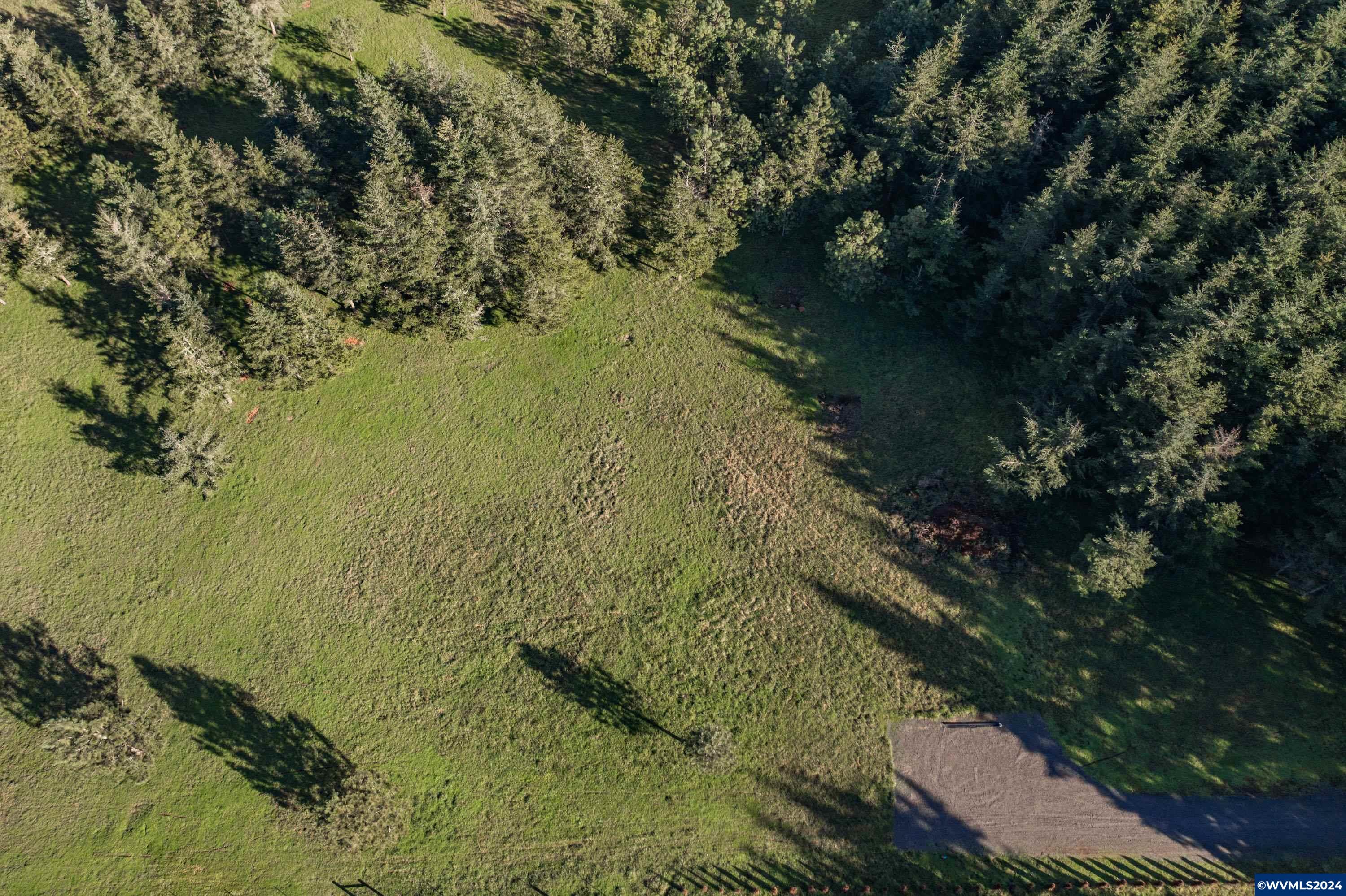 Buck Hill Lane Lebanon, OR 97355 - Photo 13 of 31