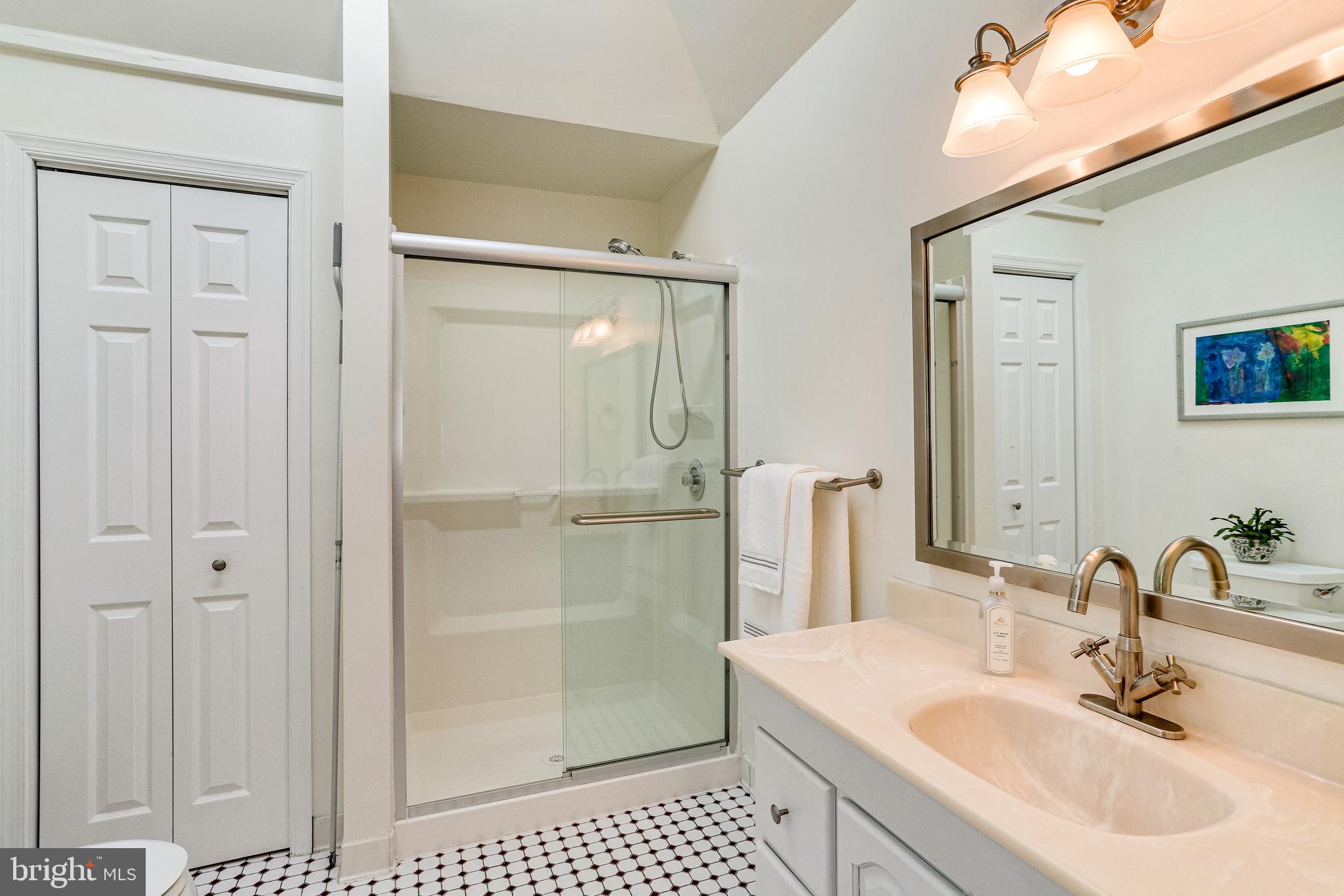 520 8th Street Northeast Washington, DC 20002 - Photo 25 of 61 Large primary ensuite BA1 has 2 closets + vanity