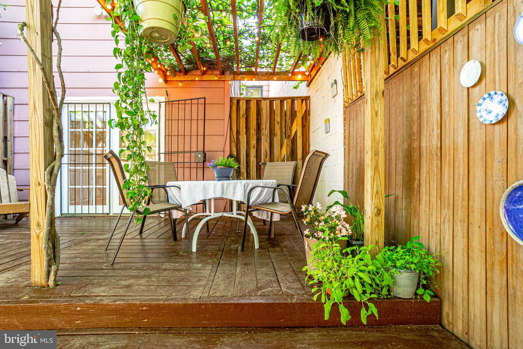 520 8th Street Northeast Washington, DC 20002 - Photo 38 of 61 Grape arbor on the dining pergola