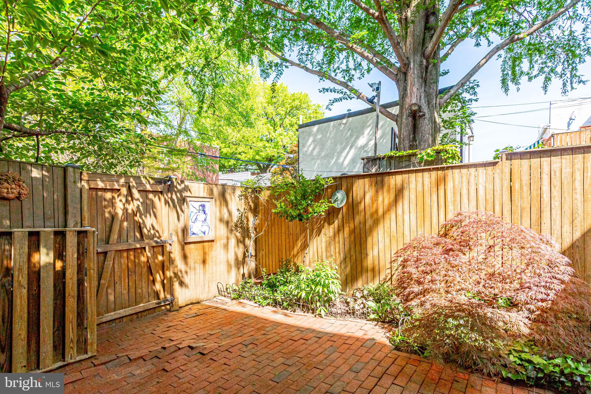 520 8th Street Northeast Washington, DC 20002 - Photo 44 of 61 Alley gate sheltered by mature redwood tree