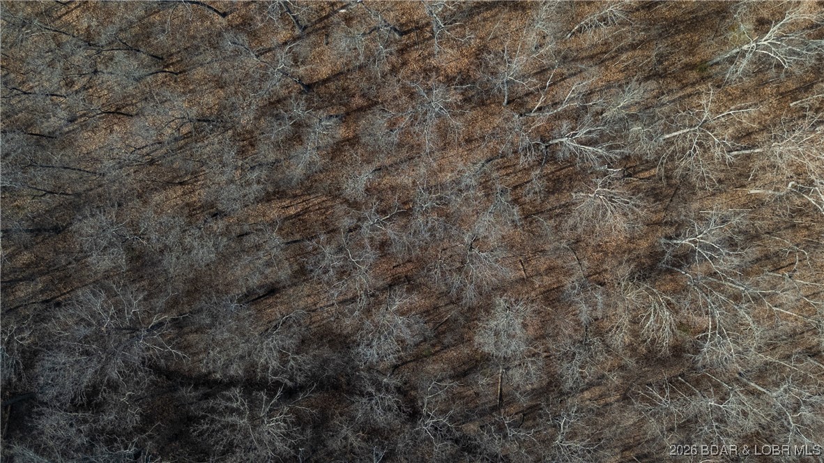 Tbd Warbonnet Road Roach, MO 65787 - Photo 24 of 45