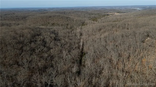 $48,000 | Tbd Warbonnet Road, Roach, MO 65787