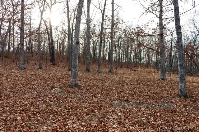 $48,000 | Tbd Warbonnet Road, Roach, MO 65787