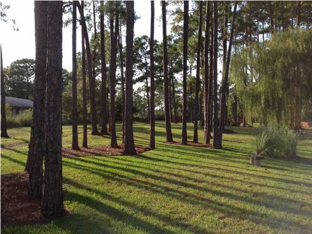 431 River Road Carrabelle, FL 32322 - Photo 8 of 36 Gallery Image 8