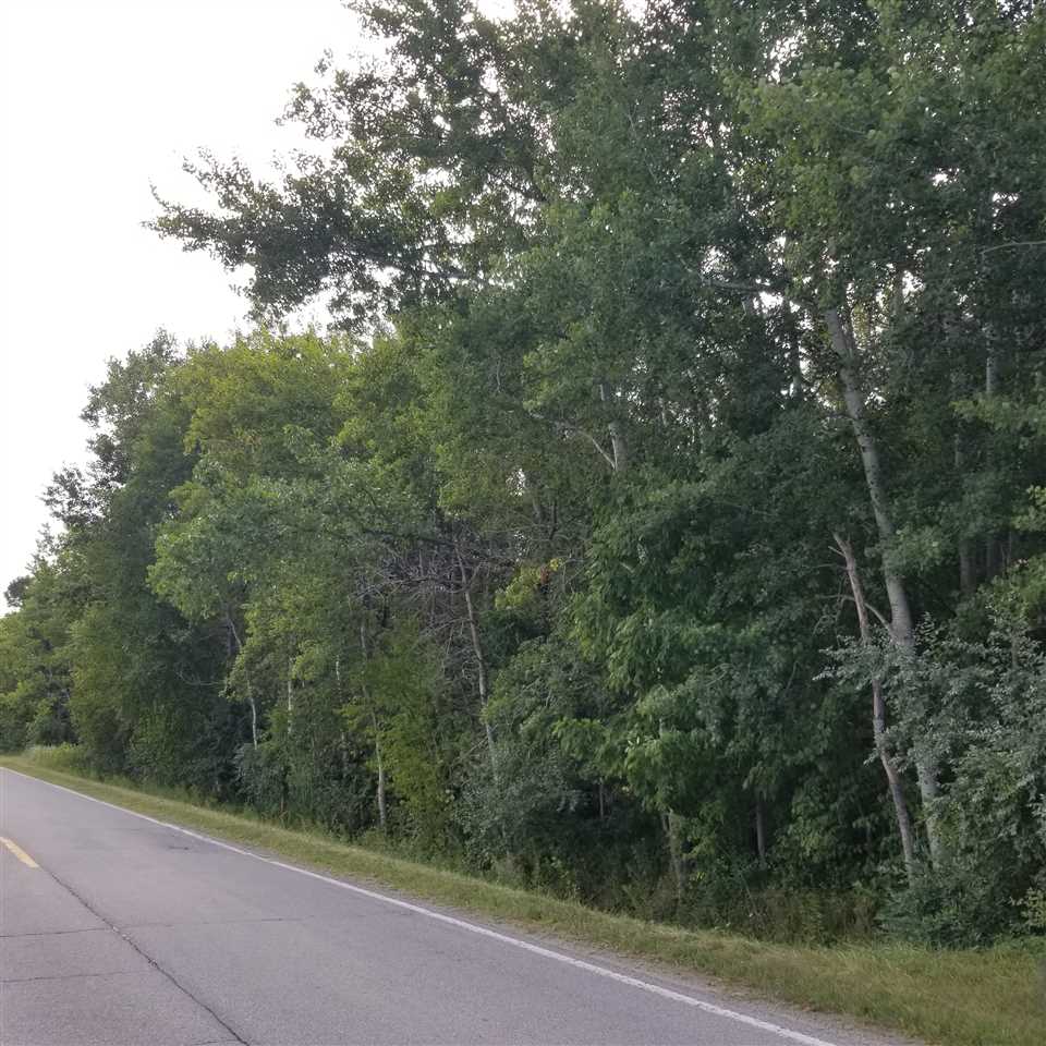 0 West Erickson Road Linwood, MI 48634 - Photo 2 of 2
