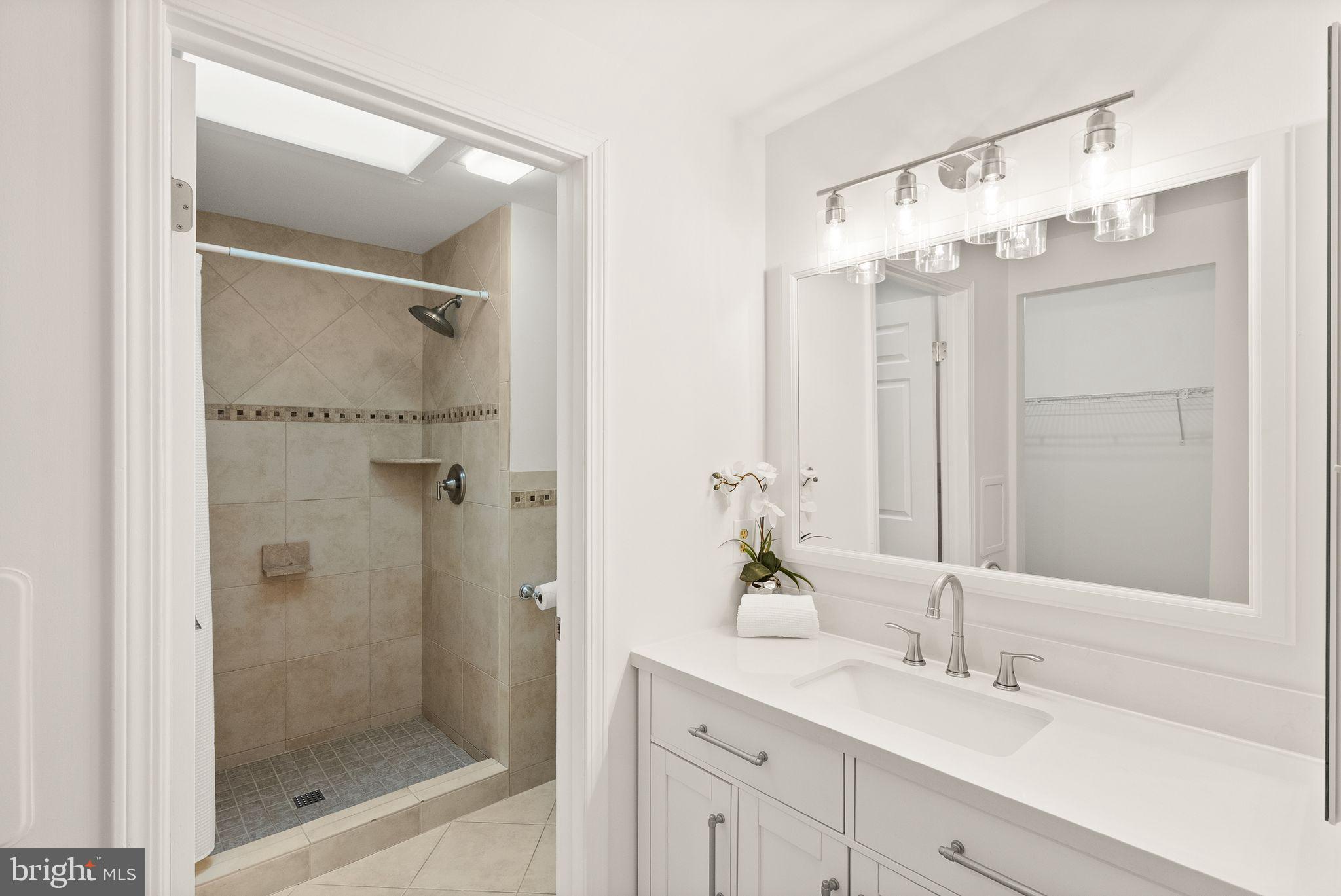 8461 Rushing Creek Court Springfield, VA 22153 - Photo 45 of 96 primary vanity / shower