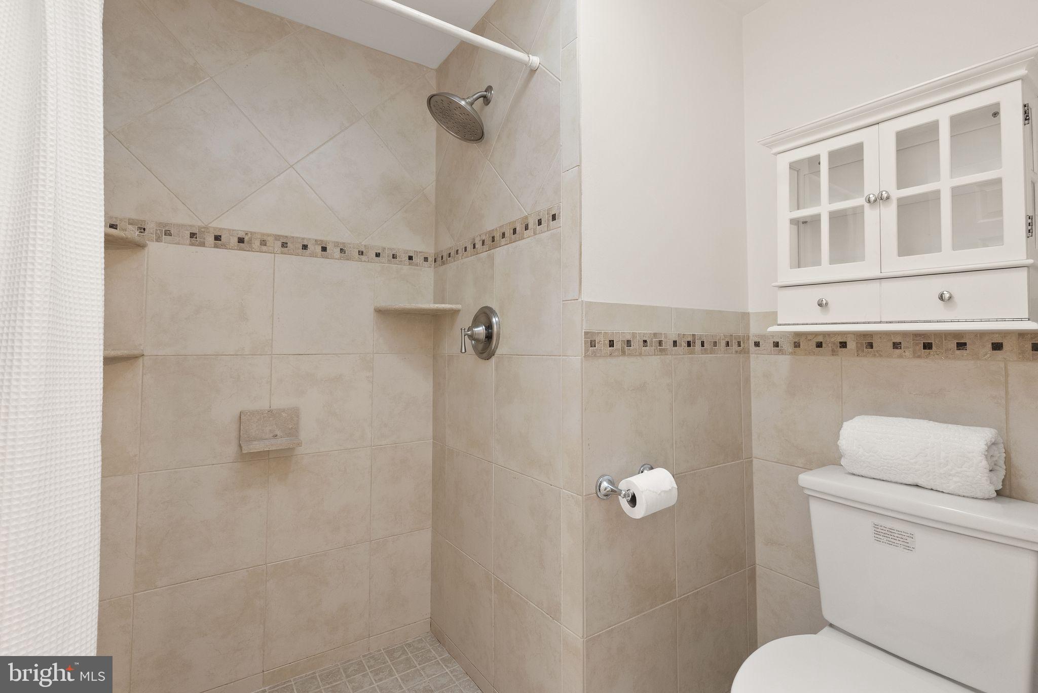 8461 Rushing Creek Court Springfield, VA 22153 - Photo 47 of 96 primary shower