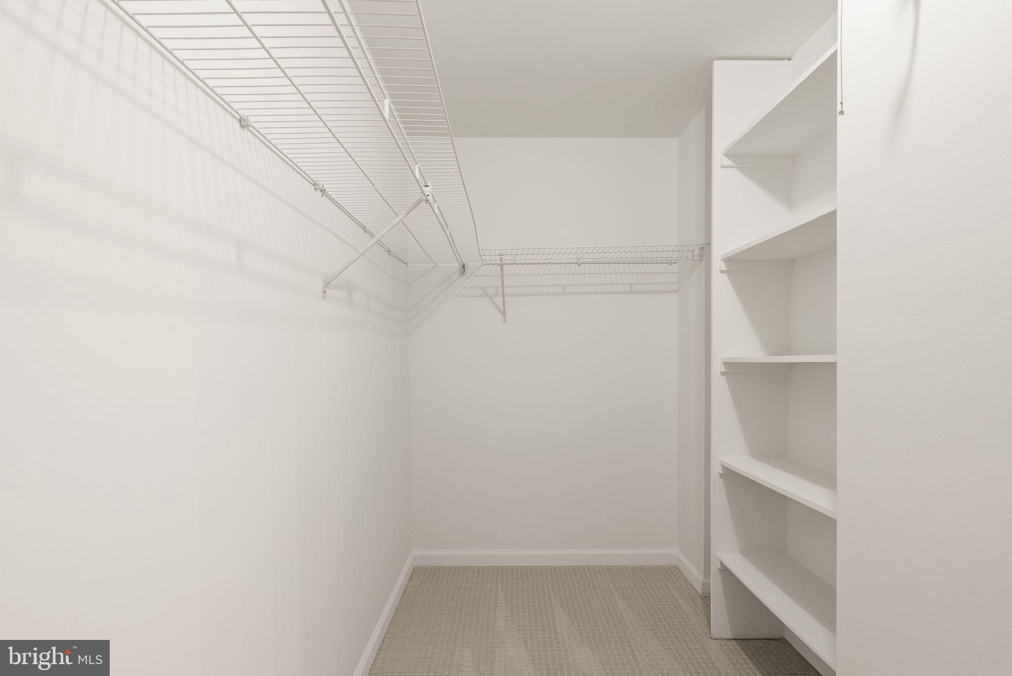 8461 Rushing Creek Court Springfield, VA 22153 - Photo 48 of 96 large walk-in primary closet