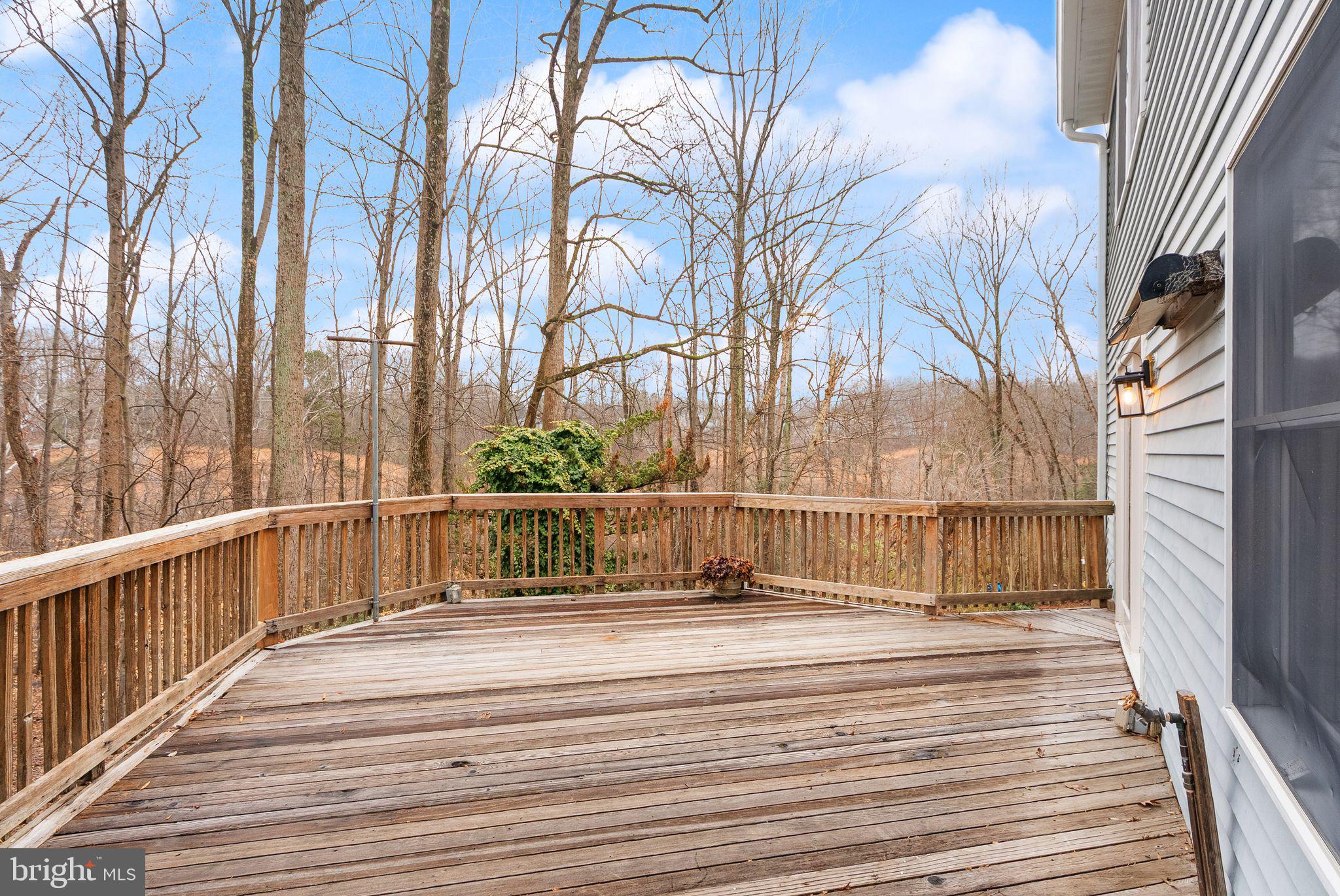 8461 Rushing Creek Court Springfield, VA 22153 - Photo 63 of 96