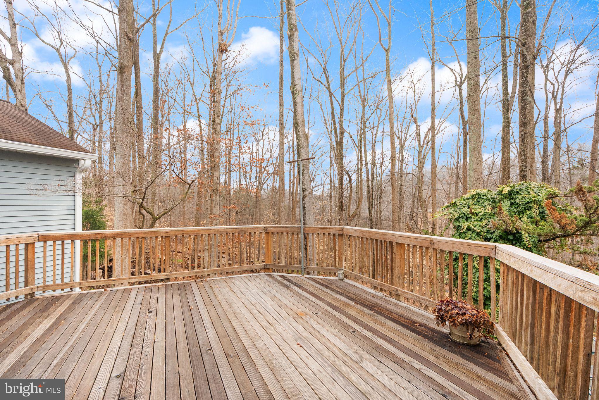 8461 Rushing Creek Court Springfield, VA 22153 - Photo 64 of 96