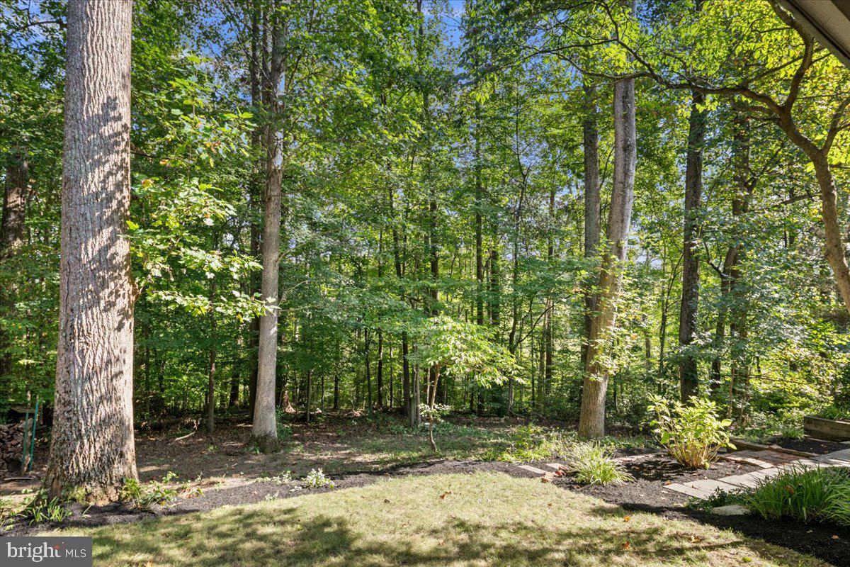 8461 Rushing Creek Court Springfield, VA 22153 - Photo 70 of 96 backyard view