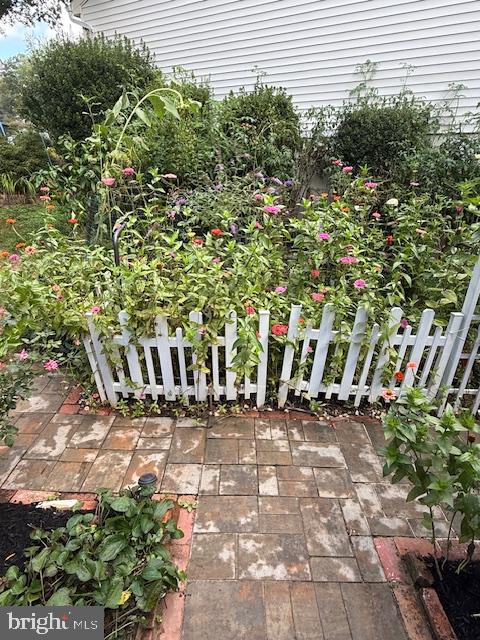 8461 Rushing Creek Court Springfield, VA 22153 - Photo 74 of 96 multi-generational zinnia garden