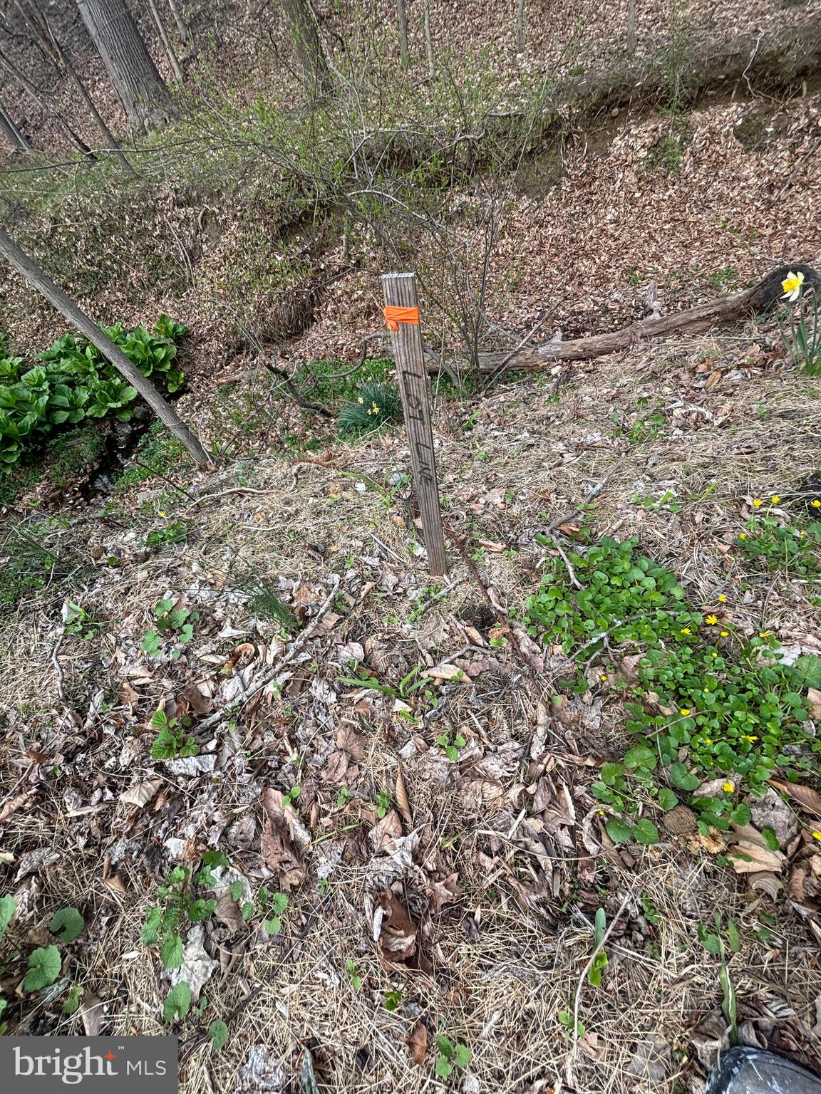 565 State Road Media, PA 19063 - Photo 11 of 16