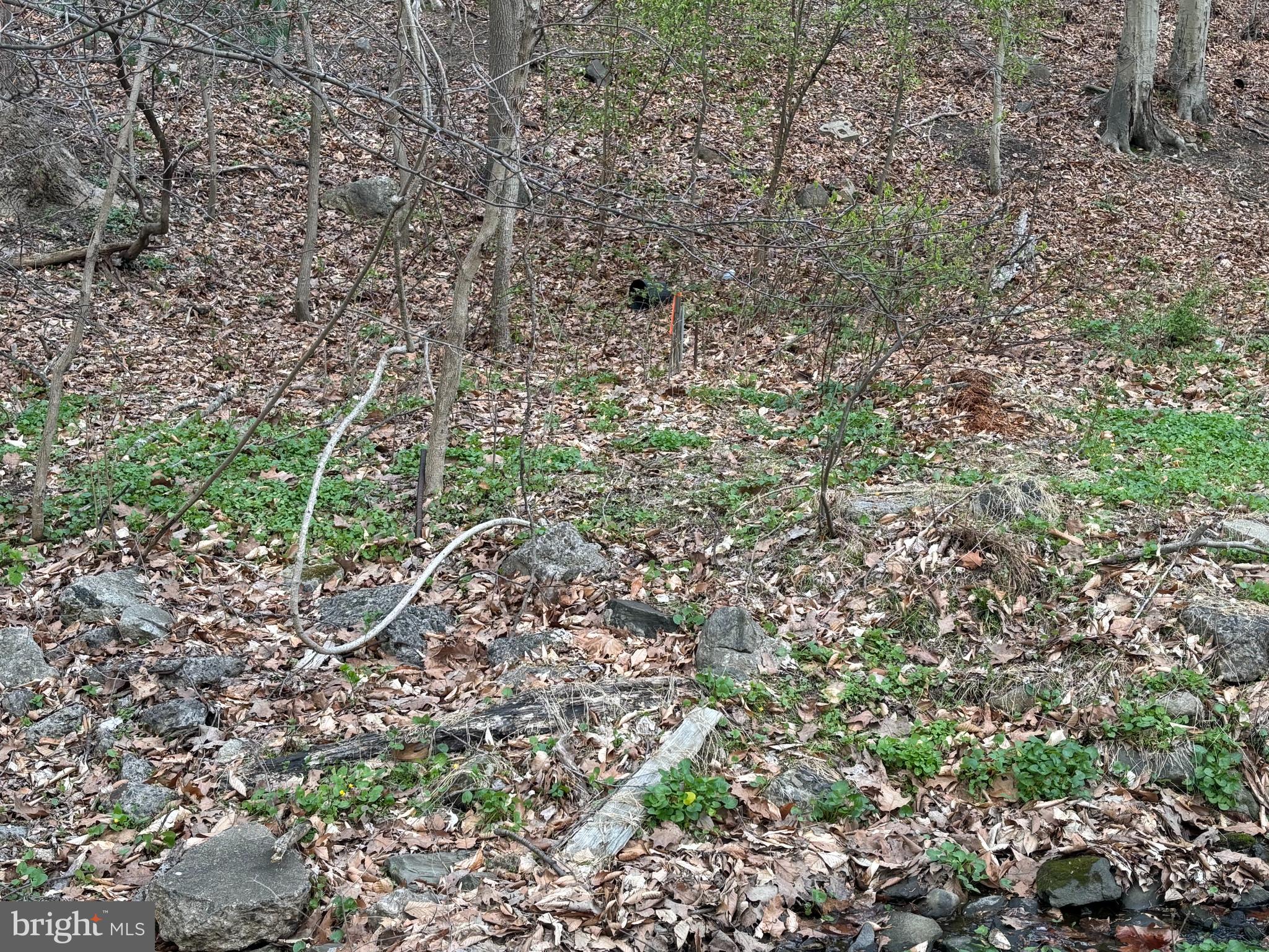 565 State Road Media, PA 19063 - Photo 14 of 16