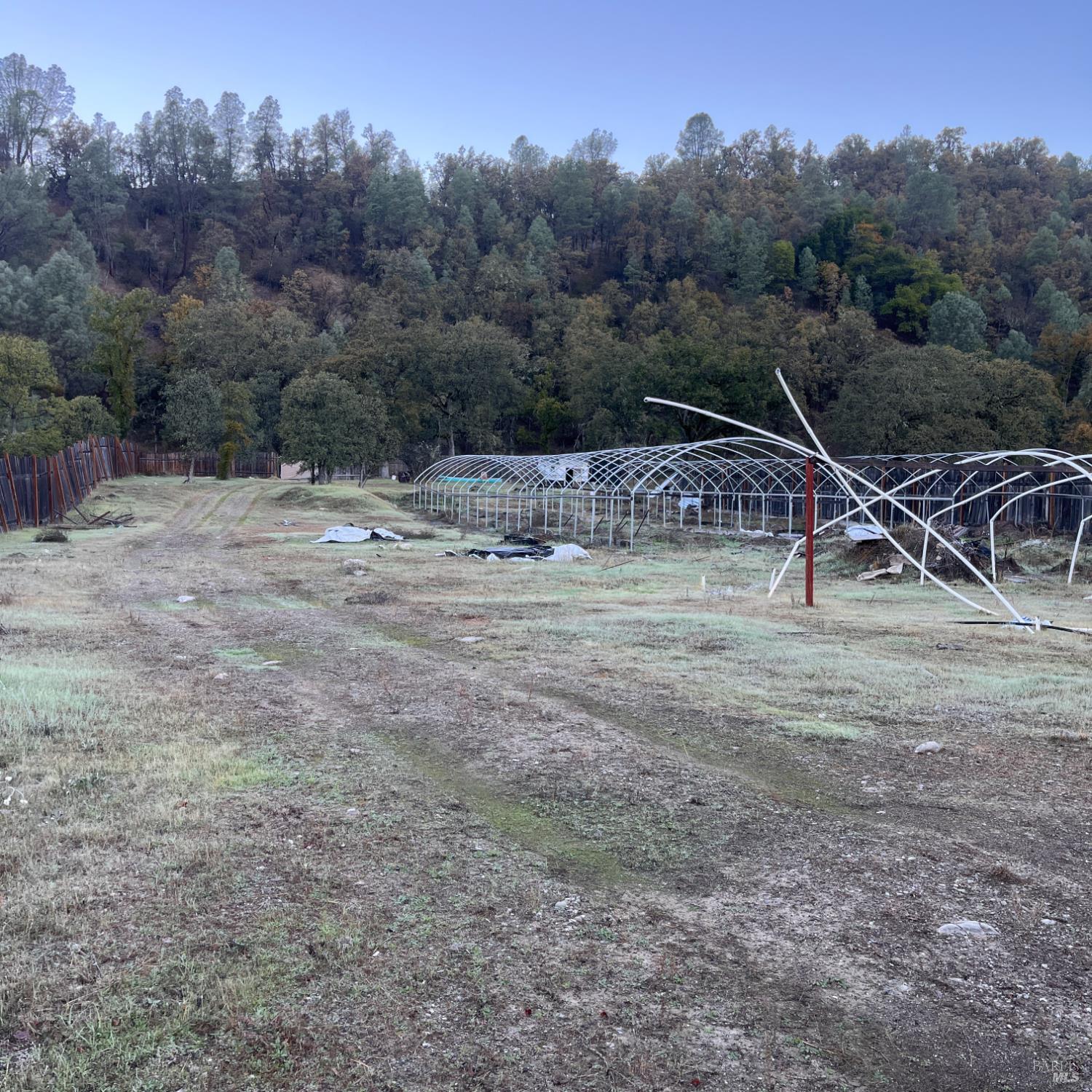 31975 Mendocino Pass Road Covelo, CA 95428 - Photo 12 of 23 a view of a backyard with a tree