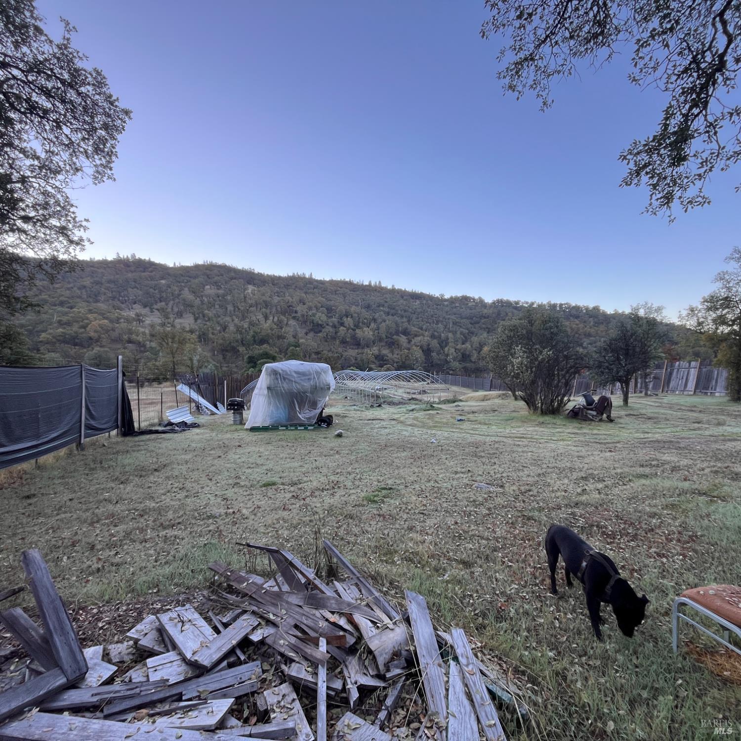 31975 Mendocino Pass Road Covelo, CA 95428 - Photo 16 of 23 a view of a dry yard with trees