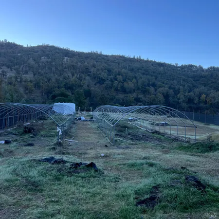 a view of a back yard