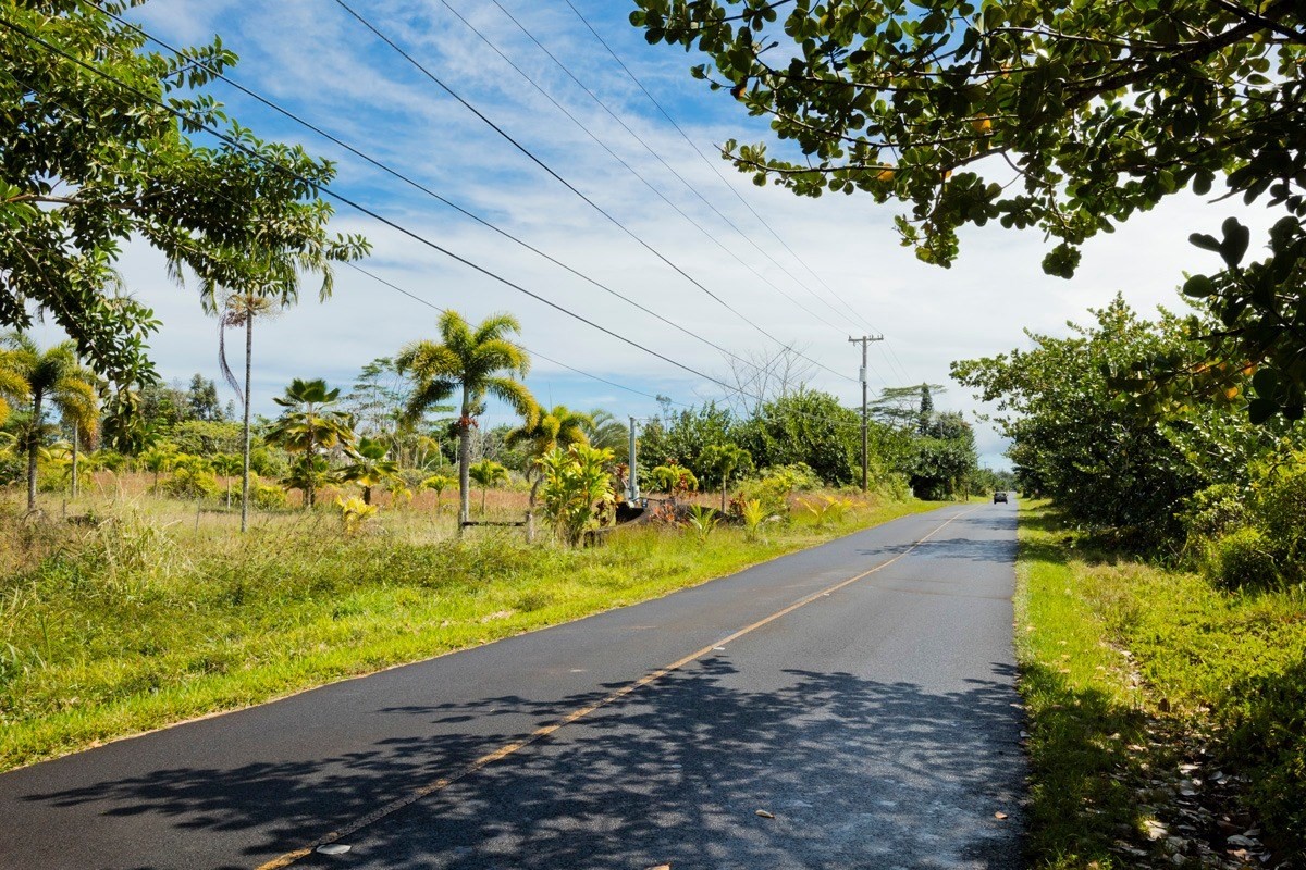 15-1565 Beach Road Keaau, HI 96749 - Photo 5 of 27 a view of a yard with plants