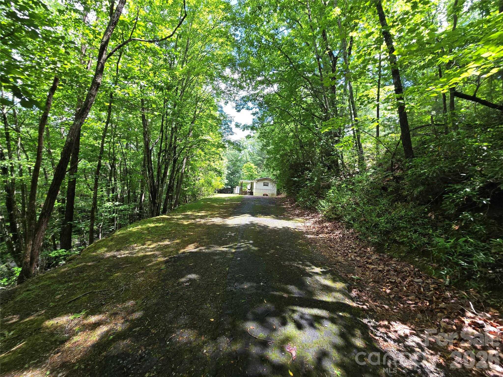 6 Rain Cloud Road Candler, NC 28715 - Photo 3 of 14