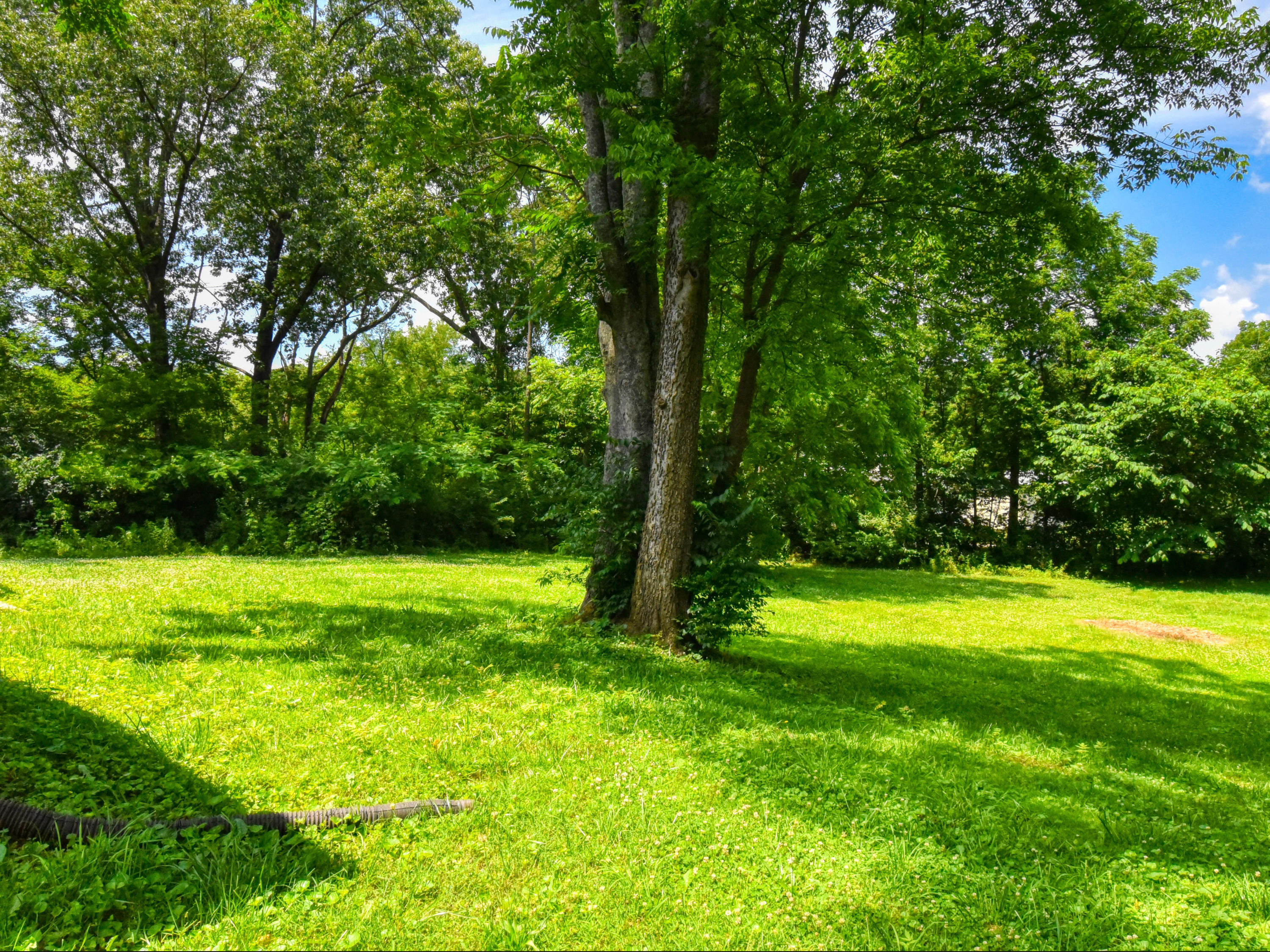 5416 Luttrell Road Knoxville, TN 37918 - Photo 23 of 23 5416 Luttrell