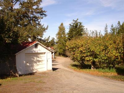 4050 Vine Hill Road Sebastopol, CA 95472 - Photo 6 of 12 Gallery Image 6