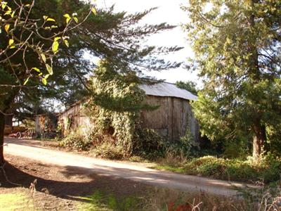 4050 Vine Hill Road Sebastopol, CA 95472 - Photo 7 of 12 Gallery Image 7