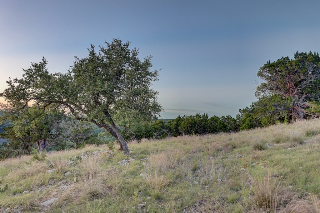 189 Cherry Springs Road, Unit 106P Hunt, TX 78024 - Photo 15 of 27