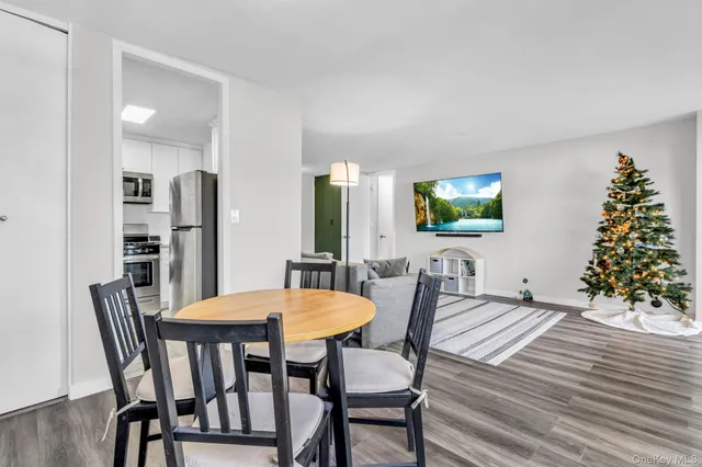 a view of a dining room with furniture and wooden floor