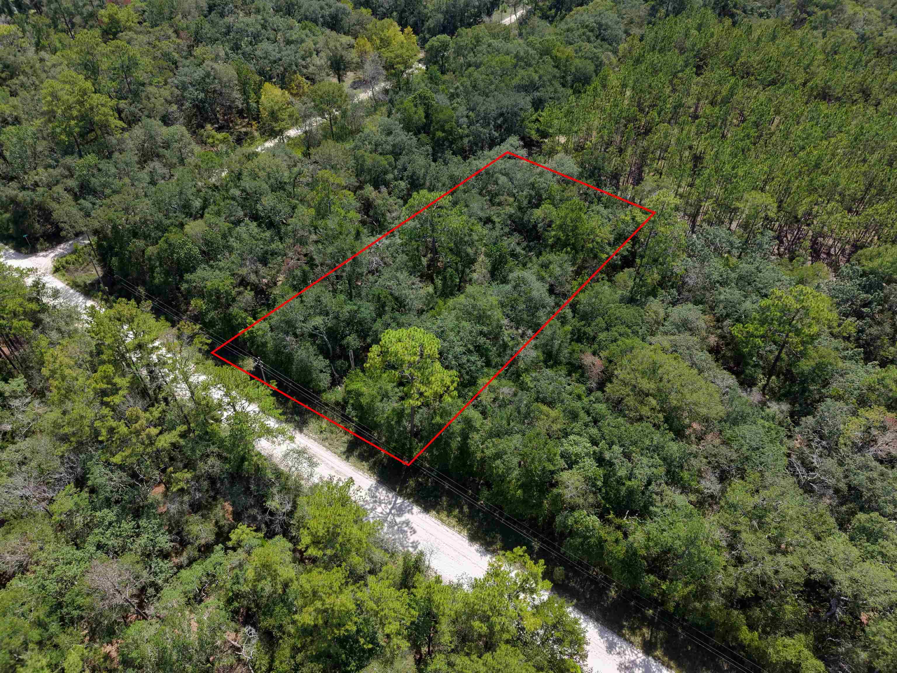 0 Southeast Leopard Road Branford, FL 32008 - Photo 2 of 23 Gallery Image 2