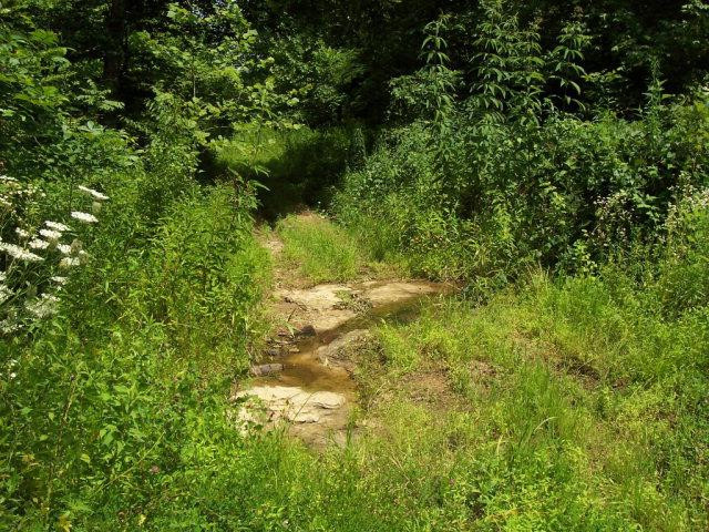 0 Fox Hollow Road Booneville, KY 41314 - Photo 15 of 20 Photo 16