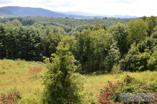 365 Buckeye Ridge Run Sparta, NC 28675 - Photo 21 of 37 a view of mountain view with mountains