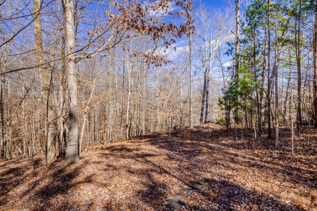 Lot #7 Deer Meadow Road Semora, NC 27343 - Photo 7 of 10 Photo 7