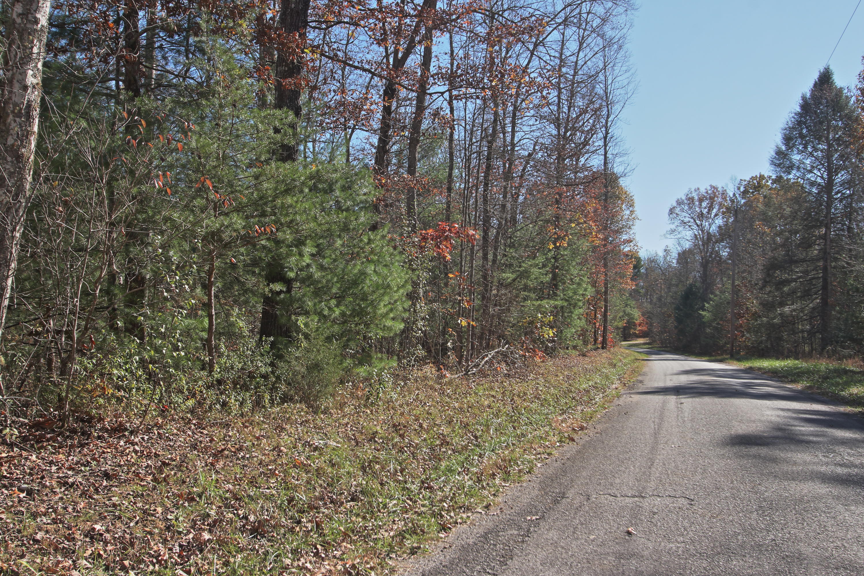 Lot 5 Cole Place Road Allardt, TN 38504 - Photo 1 of 4 zlot5c