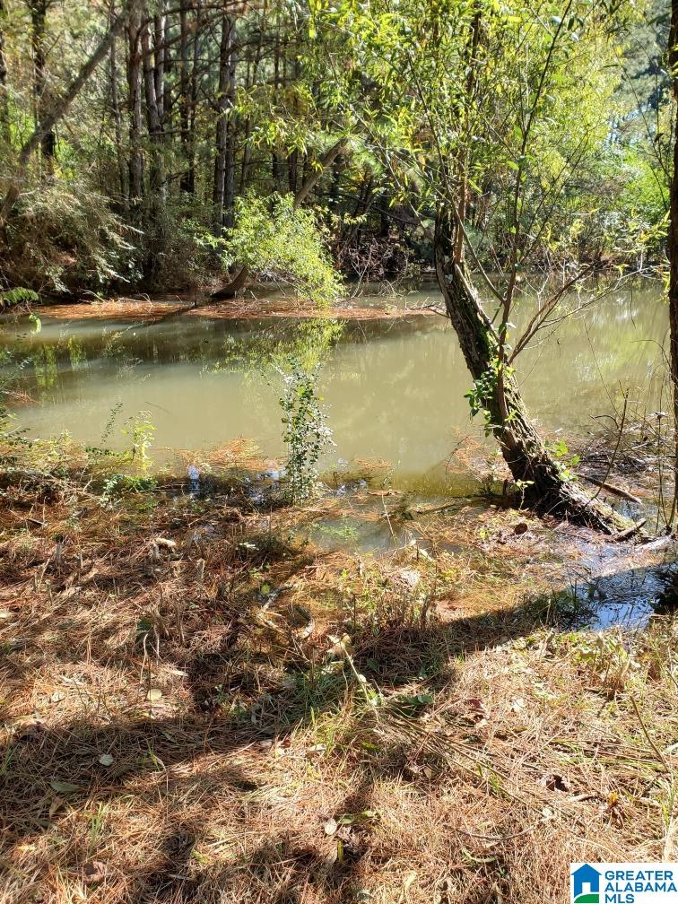 681 Graves Cemetery Road Blountsville, AL 35031 - Photo 20 of 22