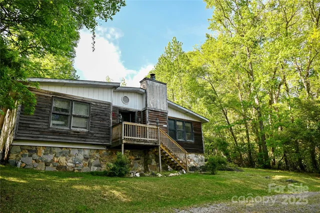 a view of backyard with potted plants and a large tree