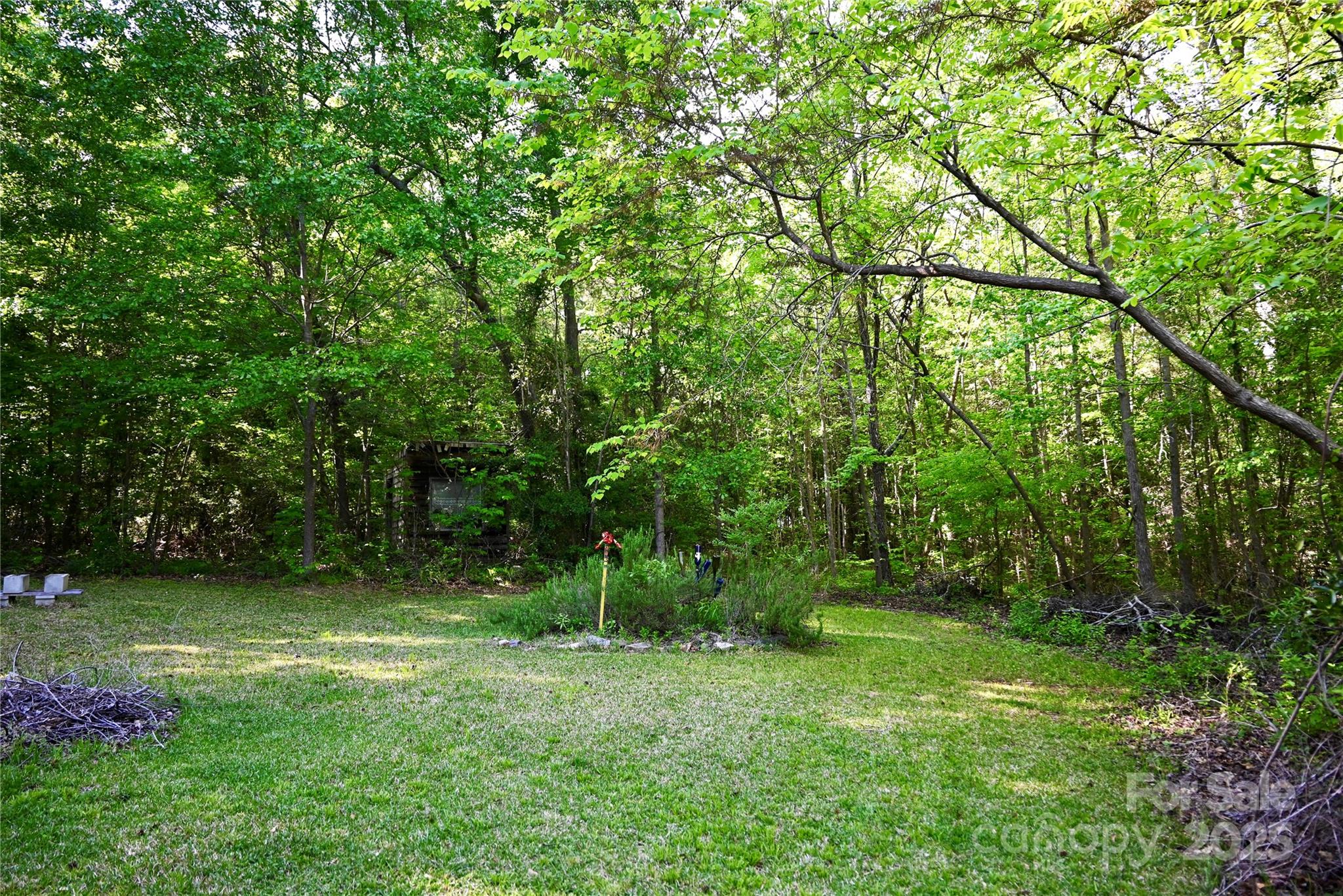 1042 Jackson Road Fort Lawn, SC 29714 - Photo 10 of 17 a view of a lush green space