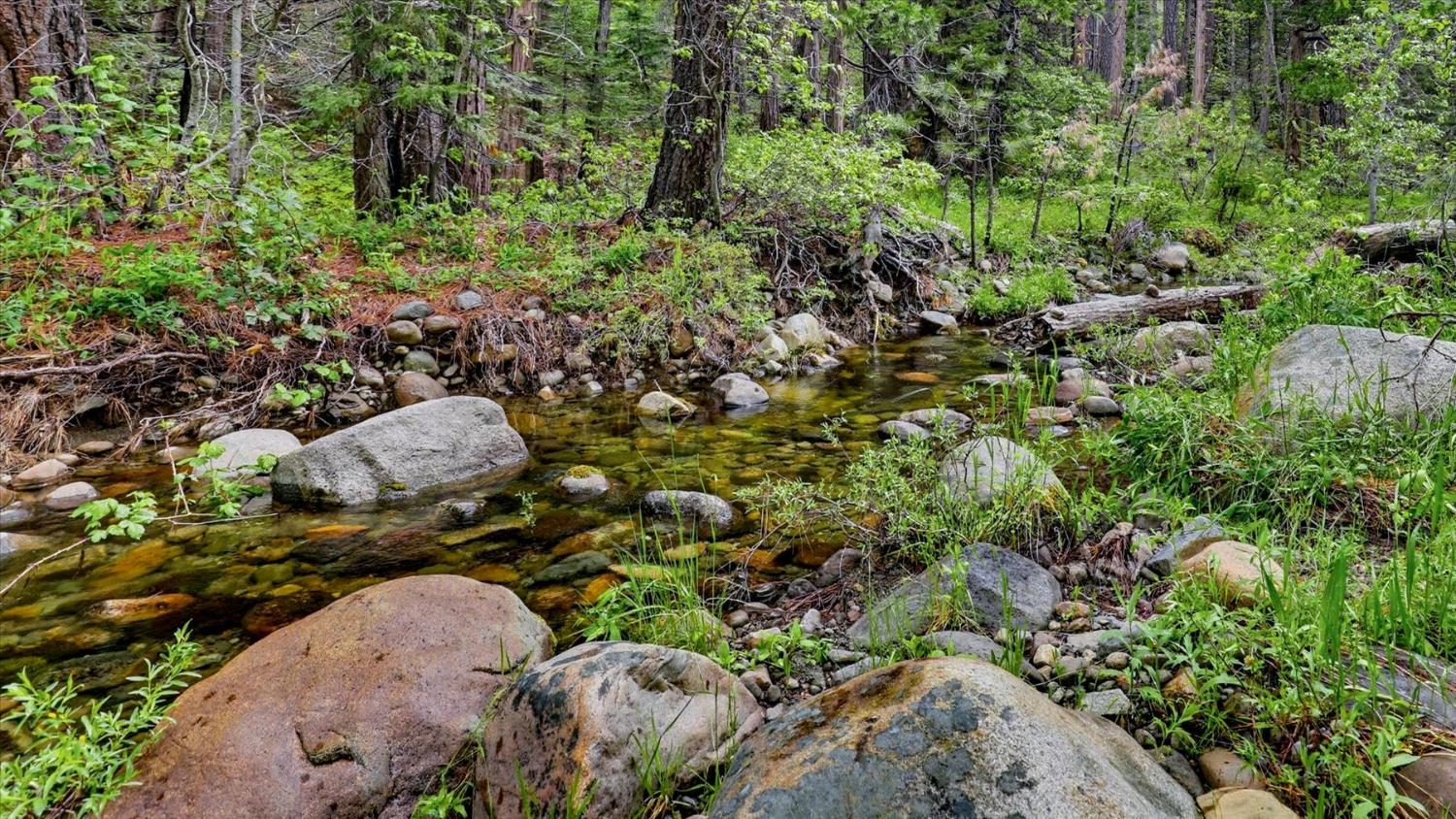 0 Texas Hill Road Emigrant Gap, CA 95715 - Photo 4 of 24