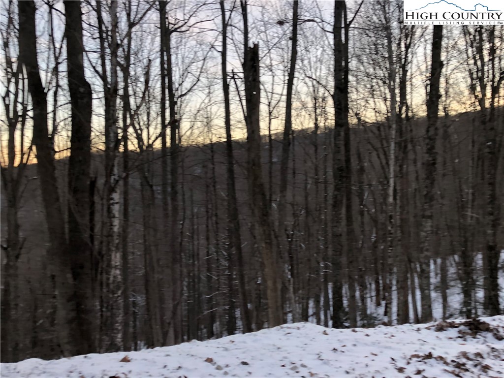 111 Hollow Tree Road Beech Mountain, NC 28604 - Photo 1 of 3 Gallery Image 1