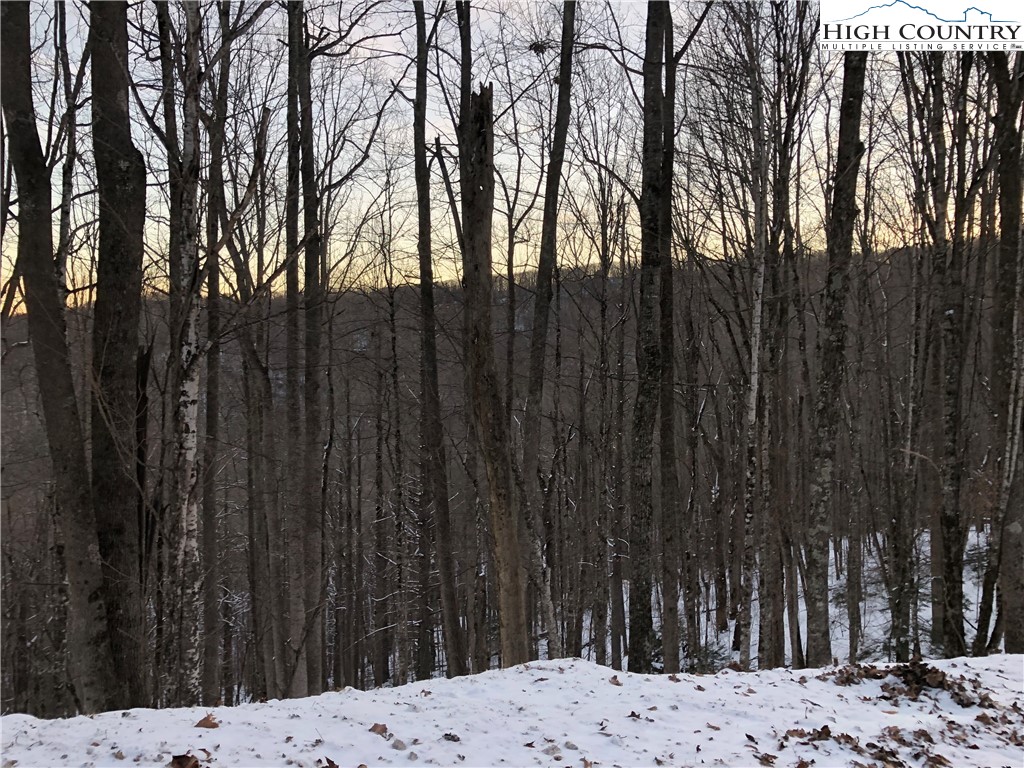 111 Hollow Tree Road Beech Mountain, NC 28604 - Photo 2 of 3 Gallery Image 2