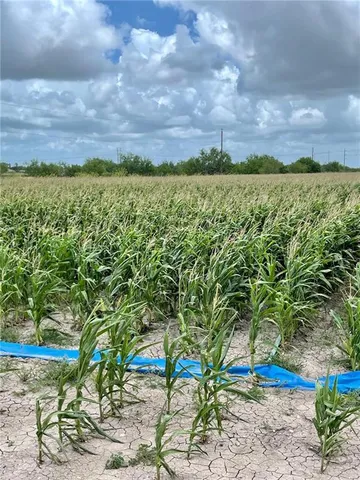 a view of a big yard with an outdoor space