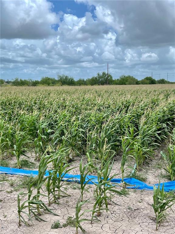 Tbd North Gonzalez Road North Weslaco, TX 78596 - Photo 2 of 2 a view of a big yard with an outdoor space