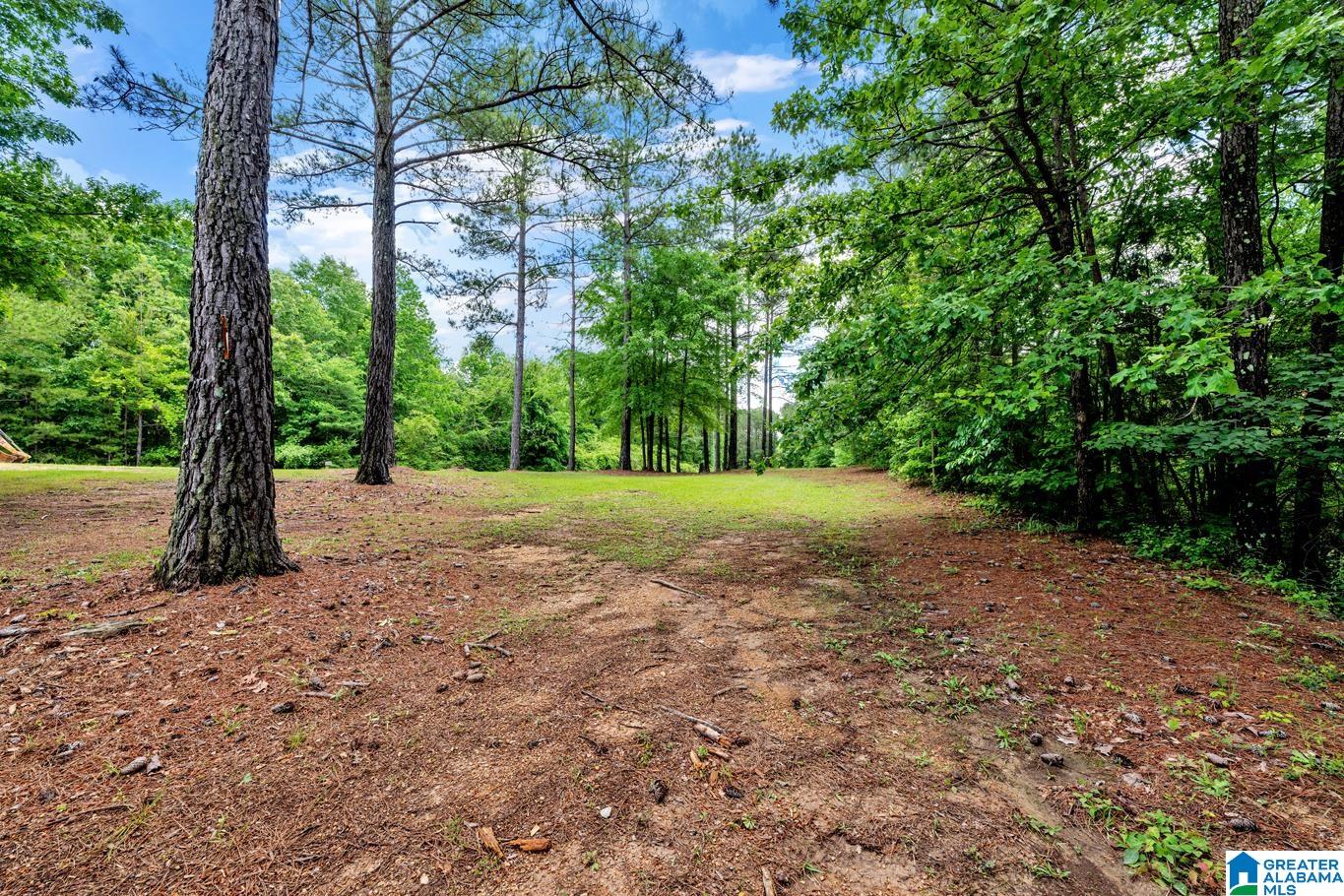 910 Smelley Road Talladega, AL 35160 - Photo 25 of 30